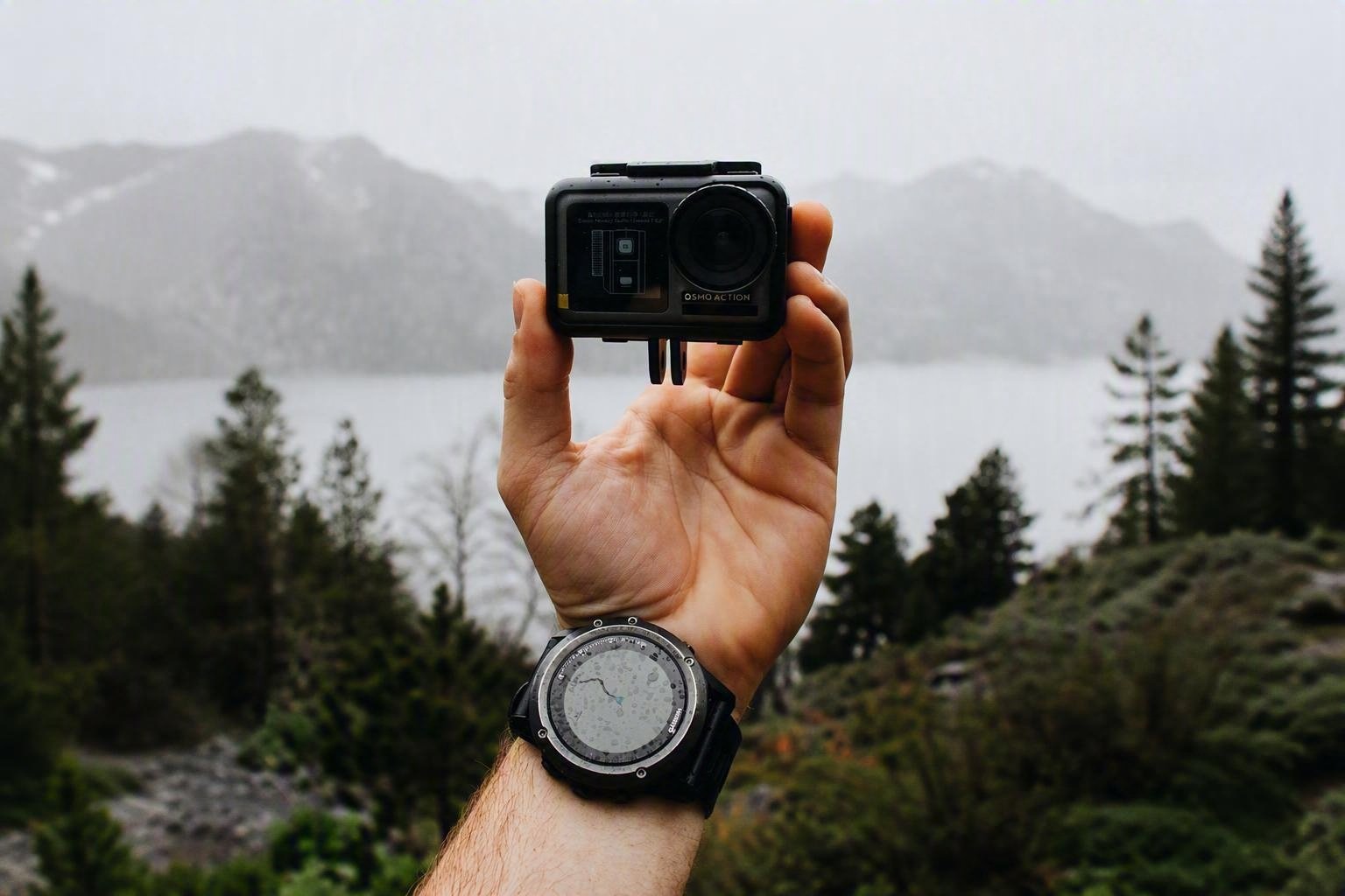 NexusWatch